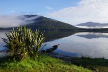 Lake Paringa, Neuseeland